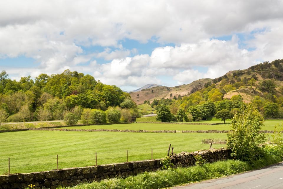 Day, View (from property/room), Garden view