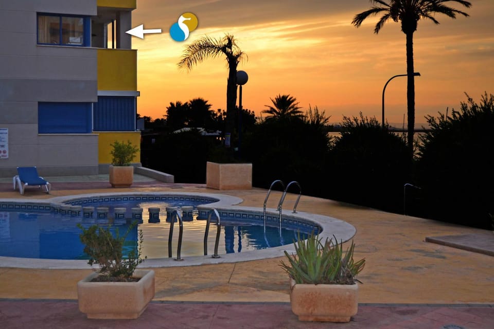 Property building, Beach, Swimming pool, Sunset
