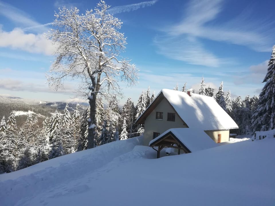 Chata Wostry Chalet in Czechia