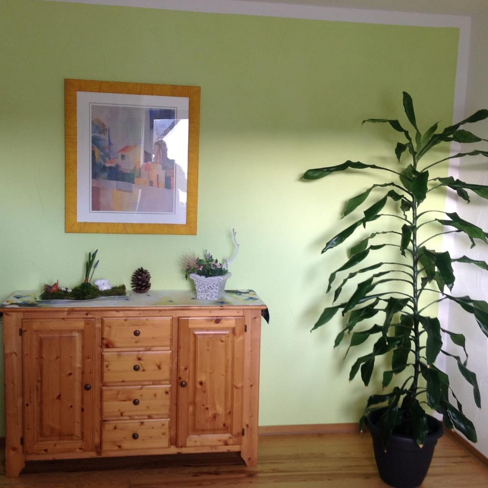 Communal lounge/ TV room, TV and multimedia