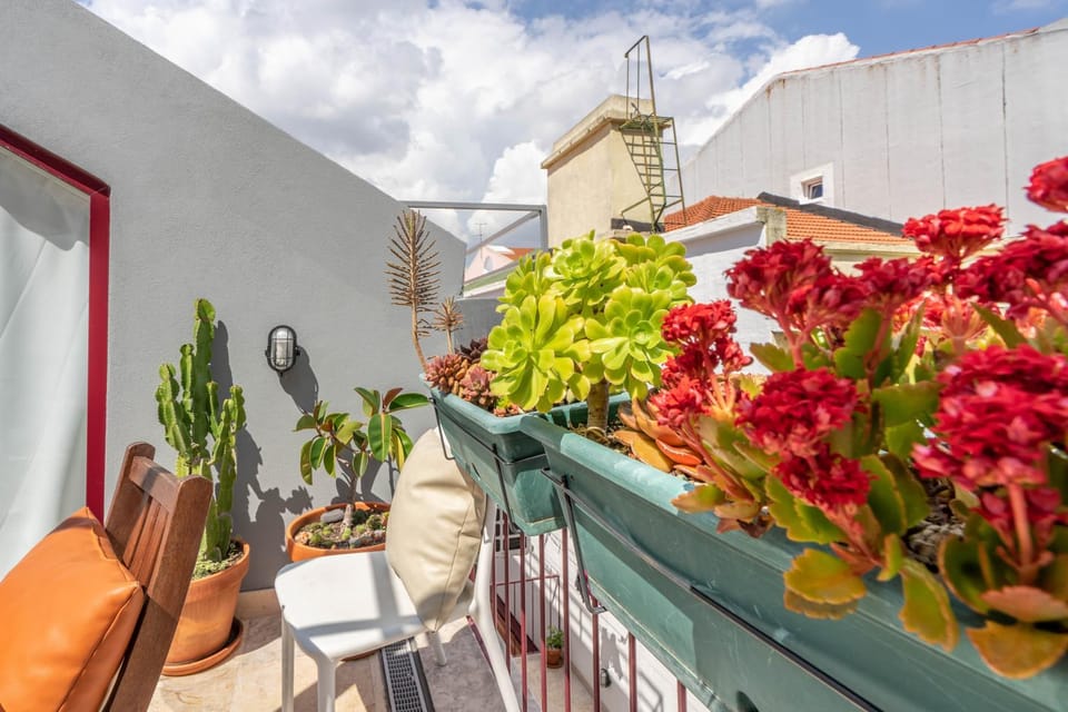 Patio, Spring, Garden, Balcony/Terrace, Garden view