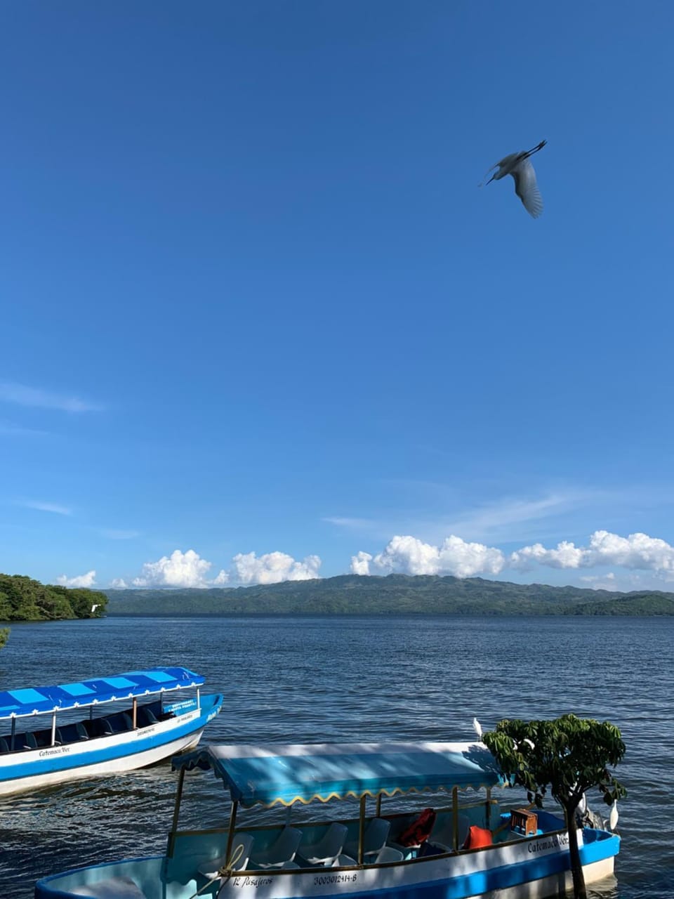 Sea view