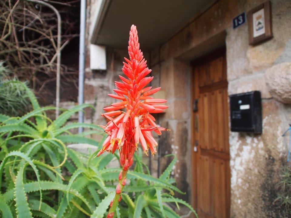Off site, Balcony/Terrace, On site