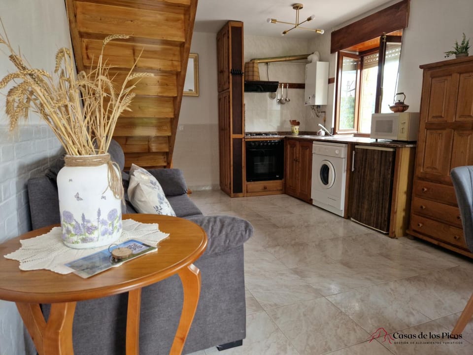 Living room, Lounge or bar, kitchen