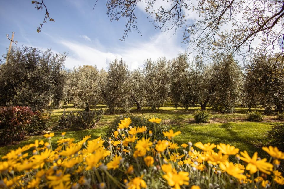 Bio Agriturismo I Lapi Farm Stay in Tuscany