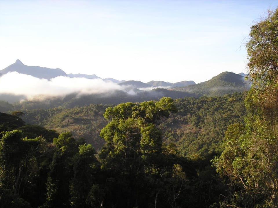 Suites em meio a Mata Atlântica Bed and Breakfast in State of Rio de Janeiro