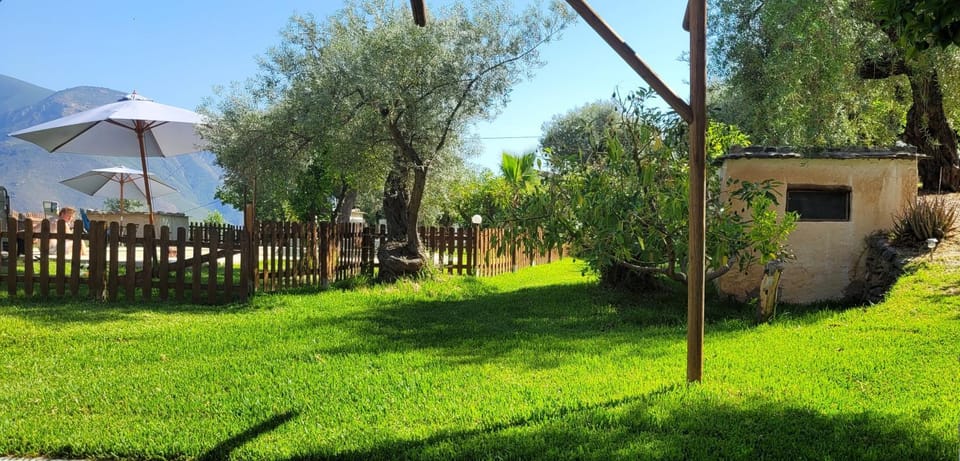 Natural landscape, Garden, Garden view