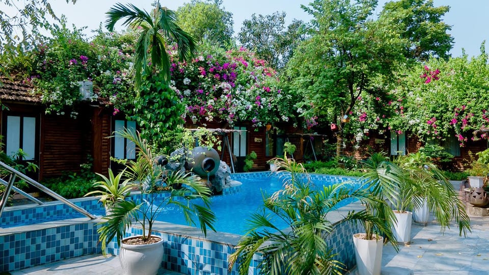 Property building, Garden, Swimming pool