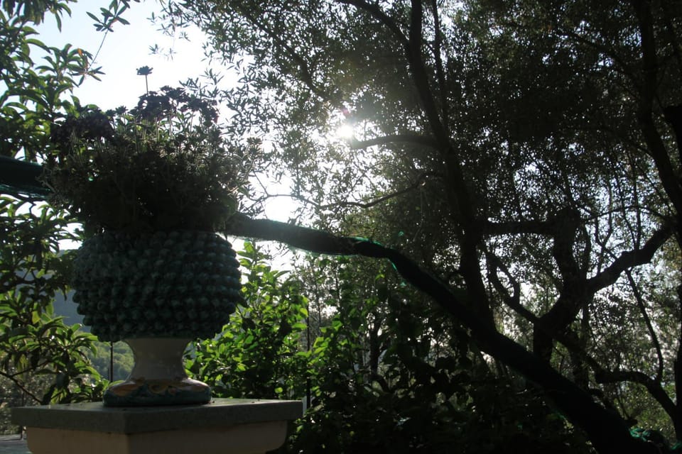 Natural landscape, Garden