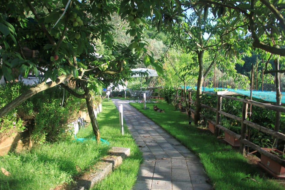 Property building, Garden