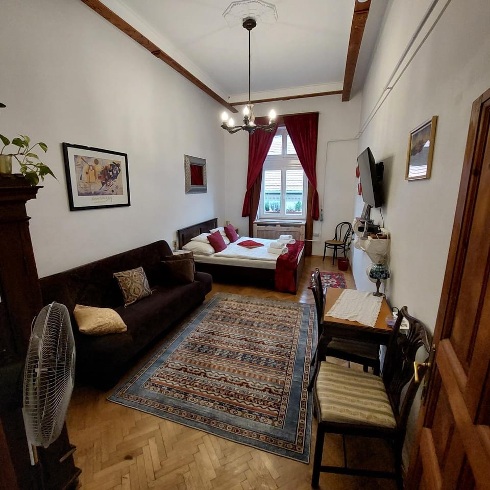 Classical Budapest apartment in the old Pest Apartment in Budapest