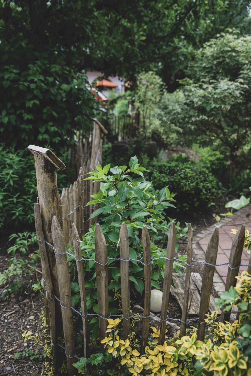 Garden view