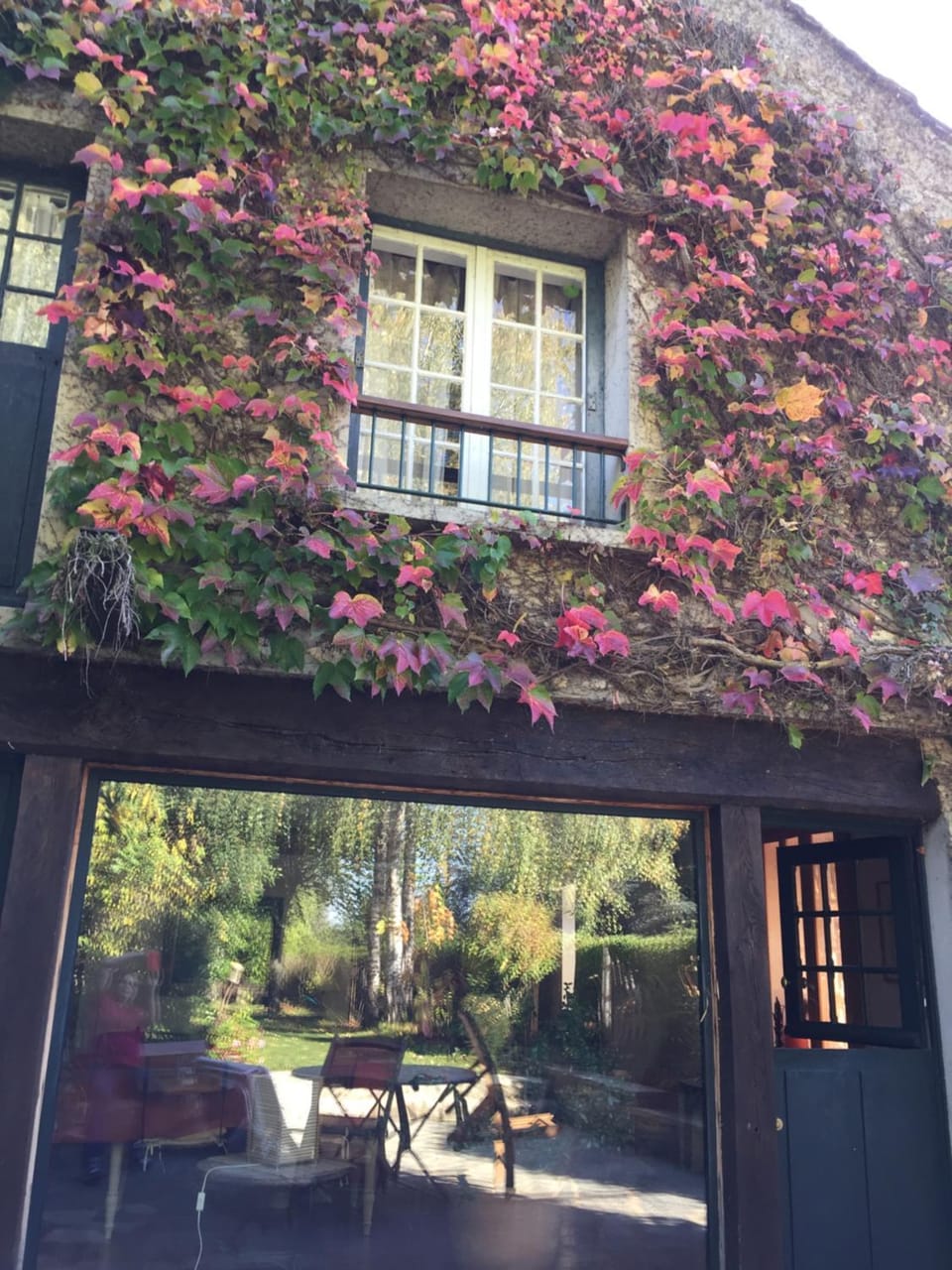 Property building, Garden view