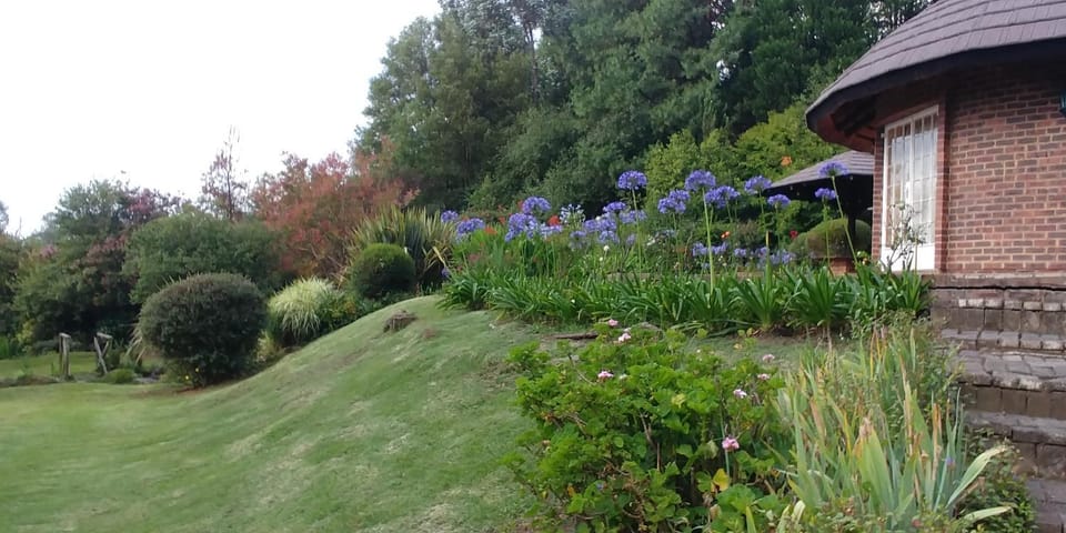 Pin Oak Cottage House in KwaZulu-Natal