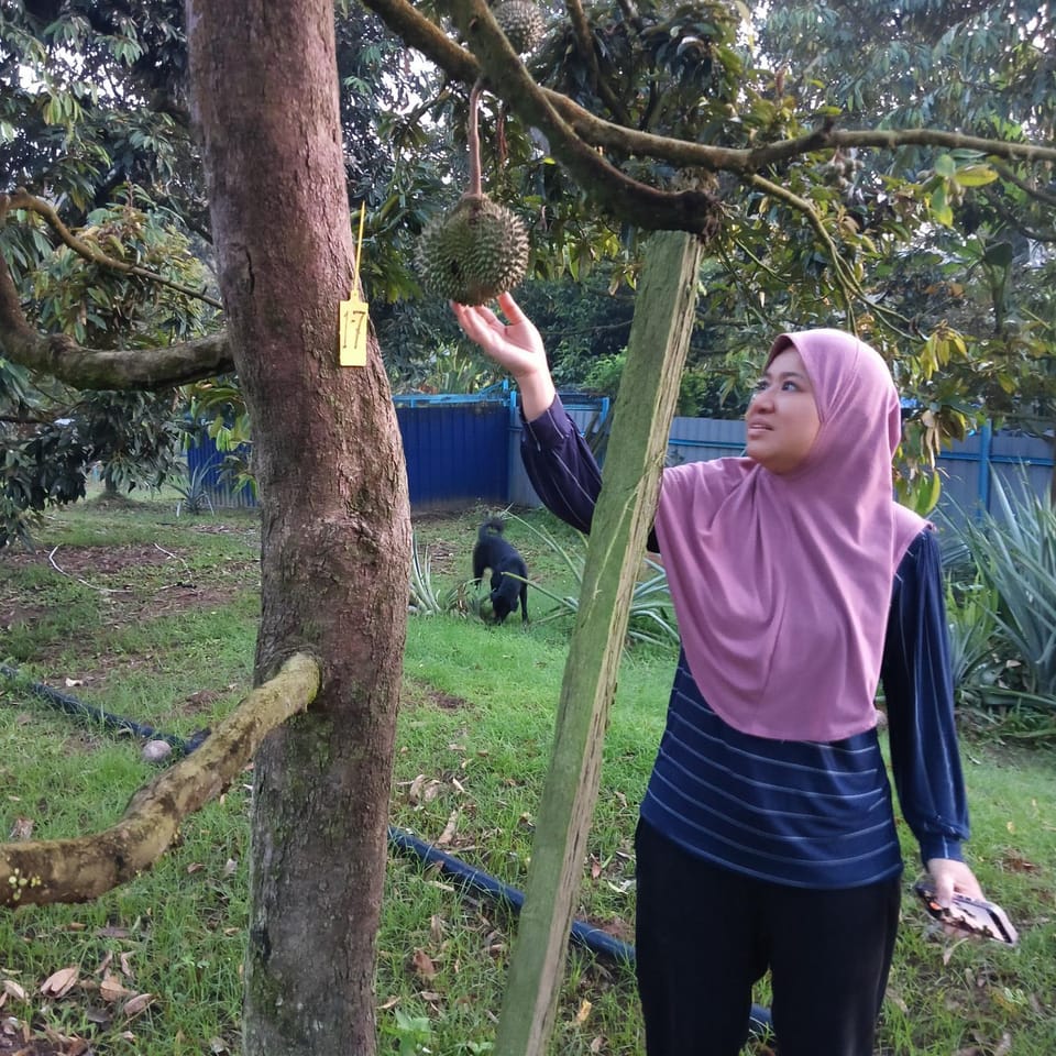 Dhia Irdina Homestay Vacation rental in Pahang, Malaysia