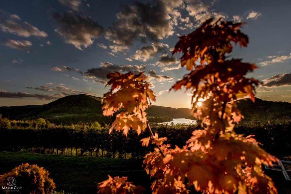 Lake view, Mountain view, River view, Sunset