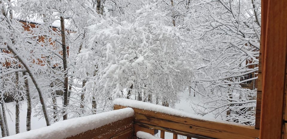Chalet bois au milieu des Pyrénées Chalet in Catalonia