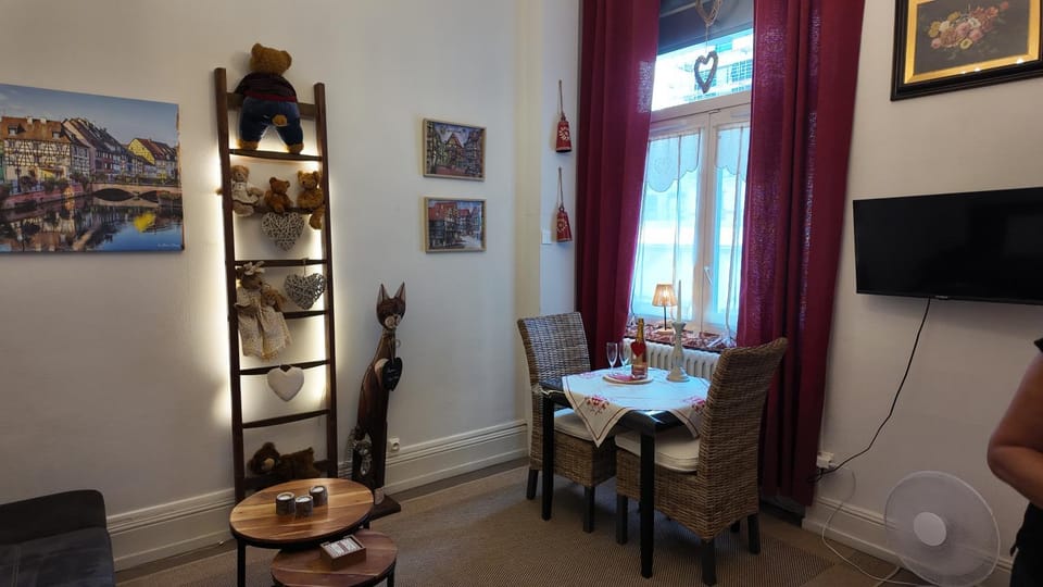 Coeur d'elsass Rapp,Centre Ville avec parking Apartment in Colmar