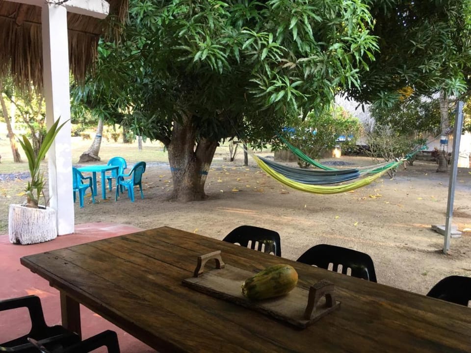 Dining area, Garden view