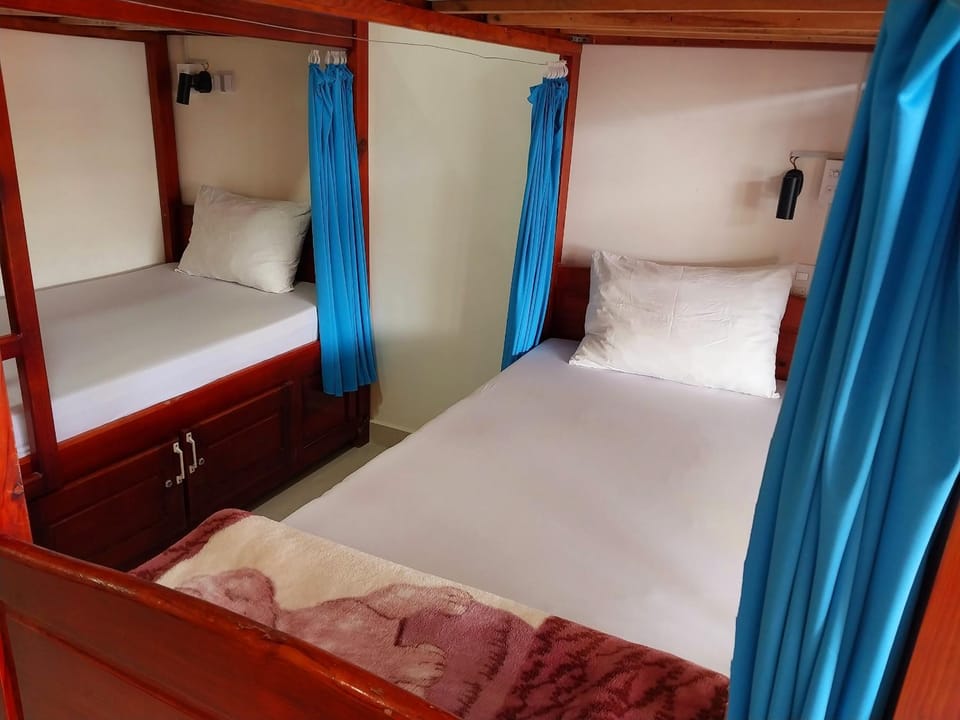 bunk bed