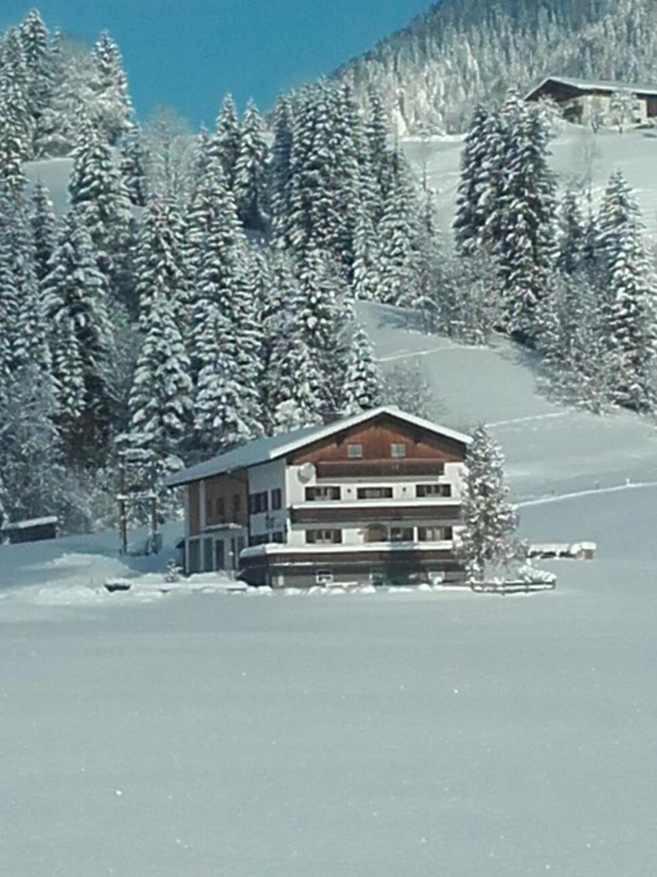 Property building, Winter