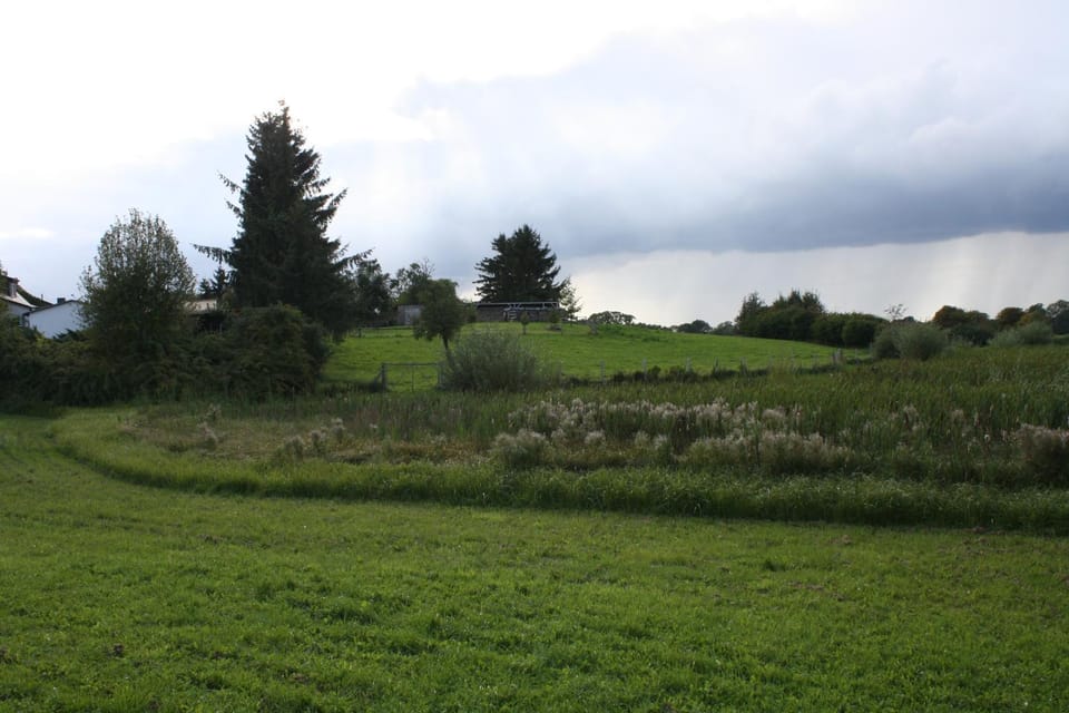 Spring, Garden, Garden view