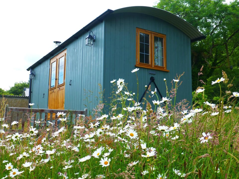 Hay-on-Hye retreat Bed and Breakfast in Wales