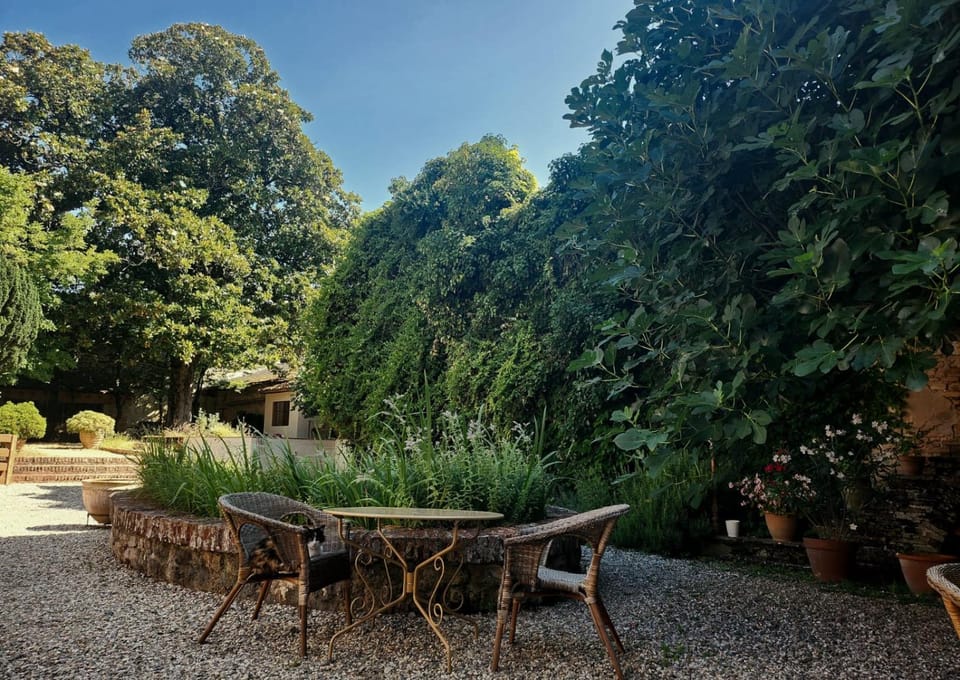 Garden view