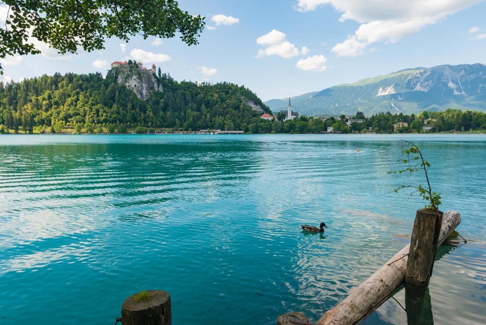 Lake view