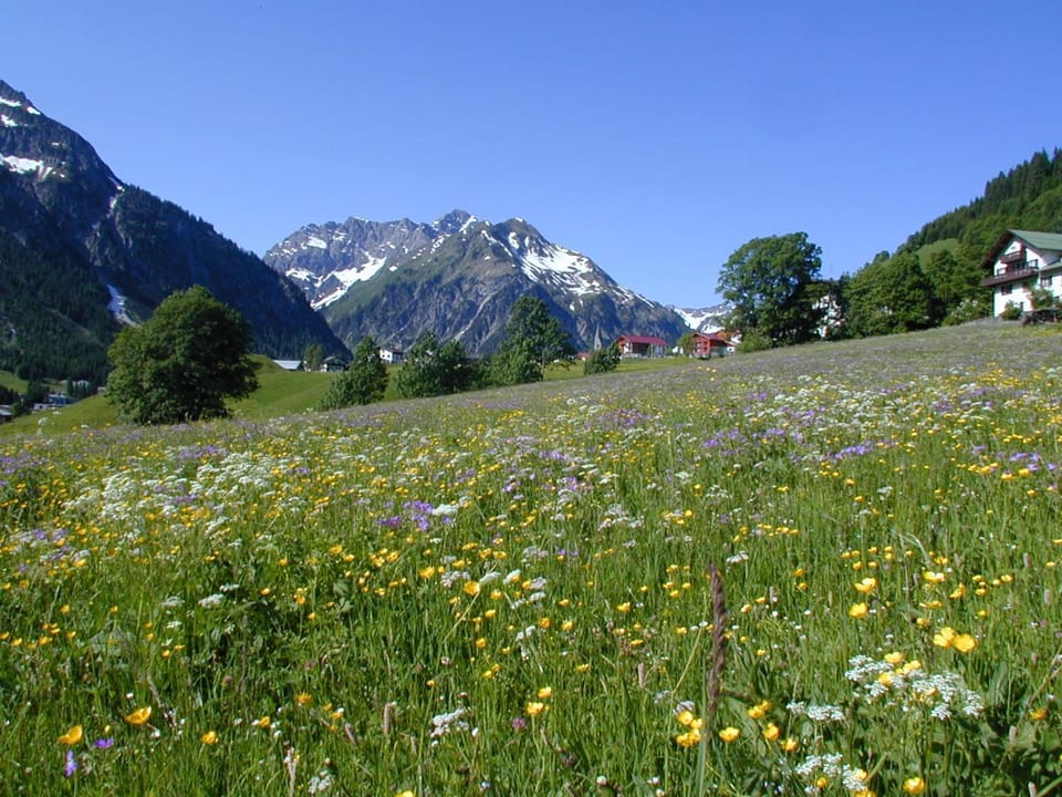 Property building, Neighbourhood, Natural landscape, Mountain view