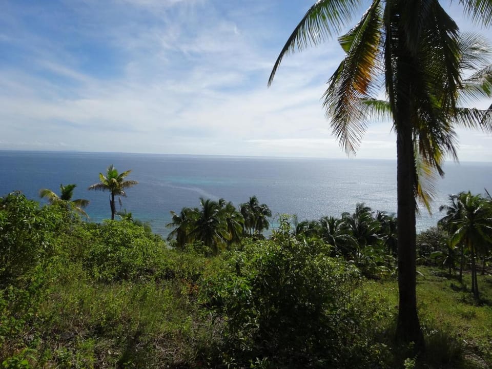 Natural landscape