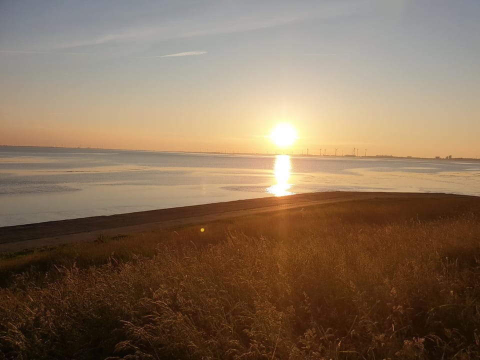 Natural landscape, Sunset