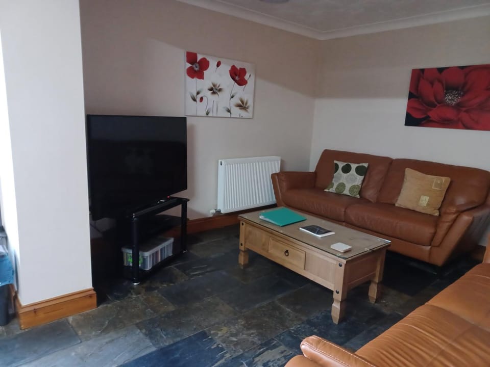 Dunroaming Cottage House in Wales