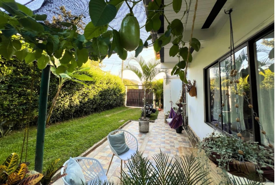 Garden view