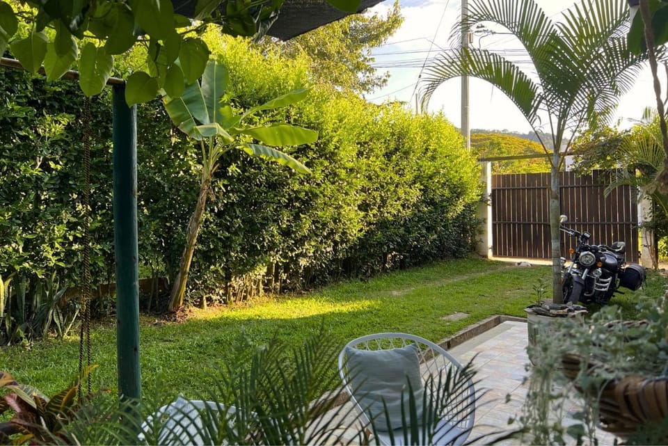 Garden view
