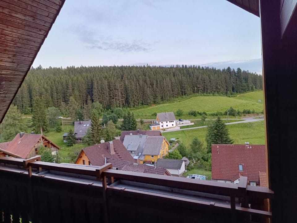 Natural landscape, Balcony/Terrace, Mountain view