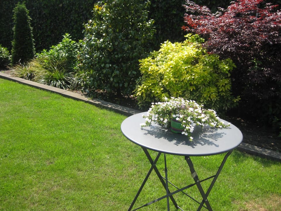 Dekker Vacation rental in Overijssel (province)