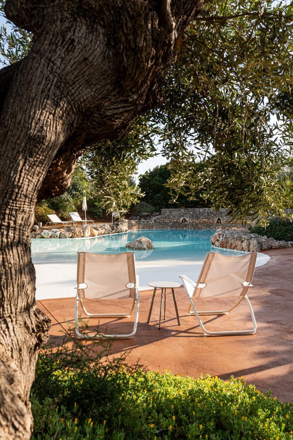 Day, Garden, Pool view, Swimming pool