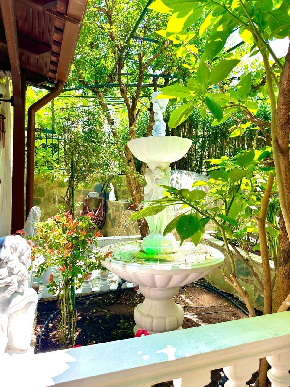 Natural landscape, Garden