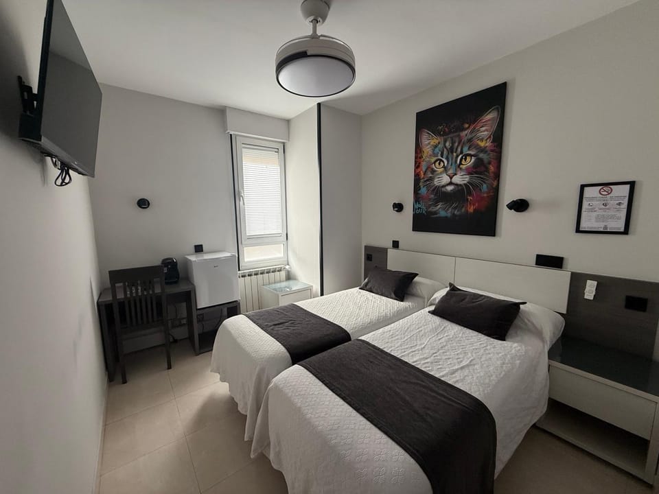 Bed, TV and multimedia, Photo of the whole room