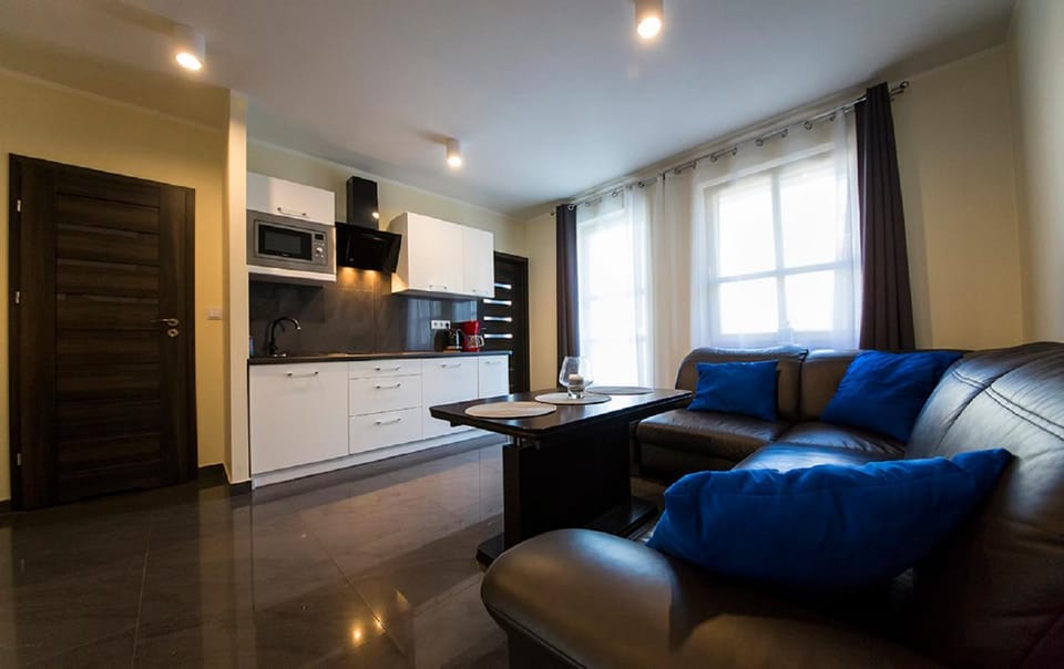 TV and multimedia, Kitchen or kitchenette, Living room, Photo of the whole room, Seating area, stove