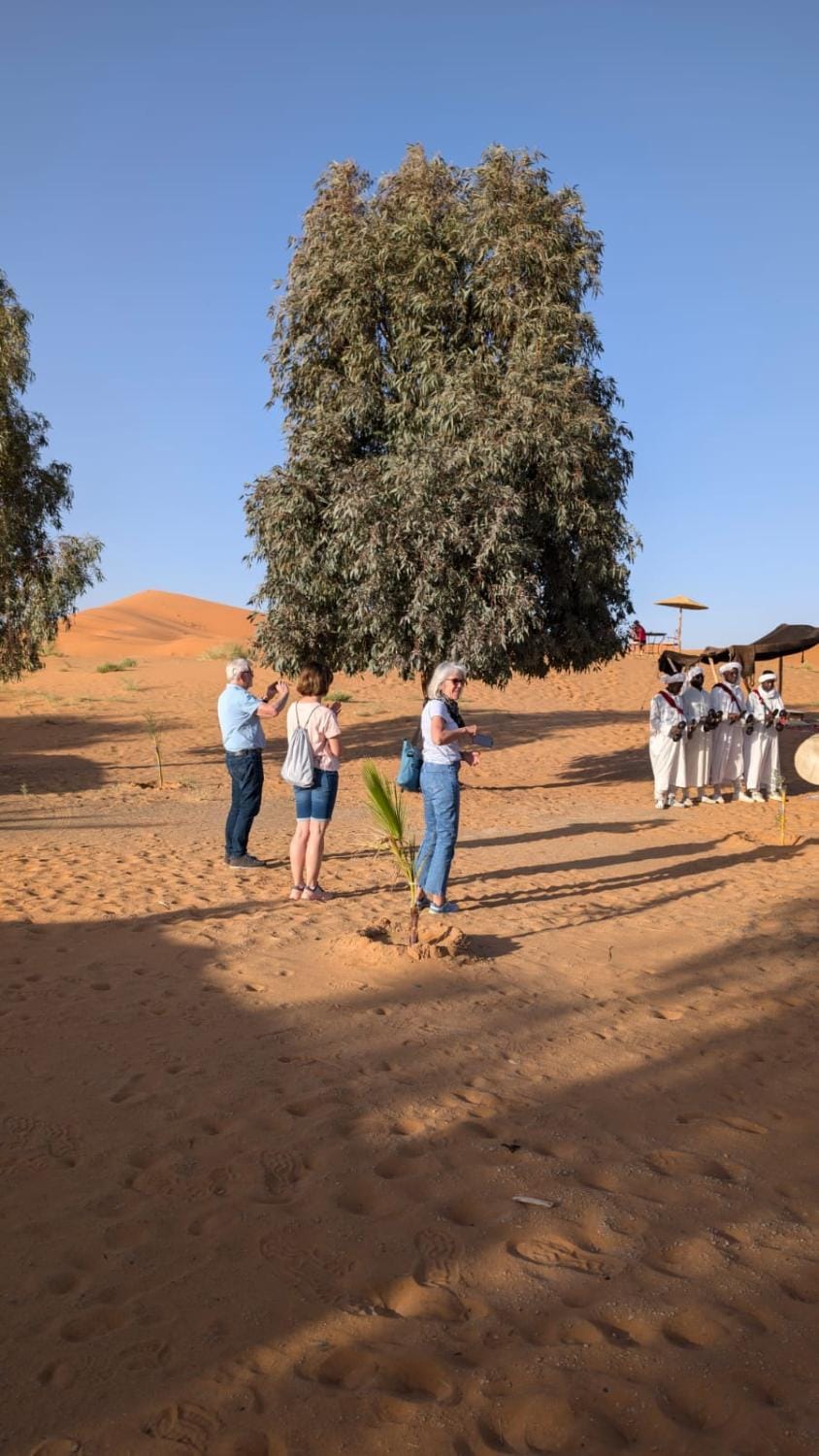 SaharaTime Camp Luxury tent in Morocco
