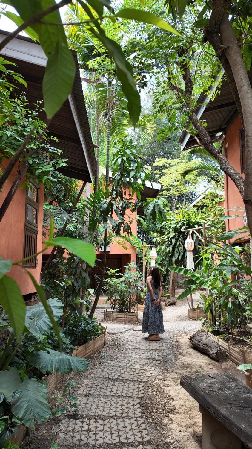 Garden view