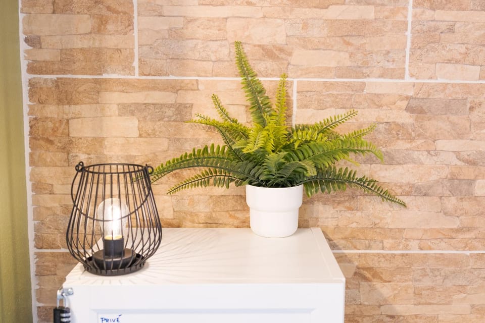 Les Elfes - avec entrée autonome, clim neuve, jardin, parking privé & gourmandises offertes ! - Apartment in Toulouse