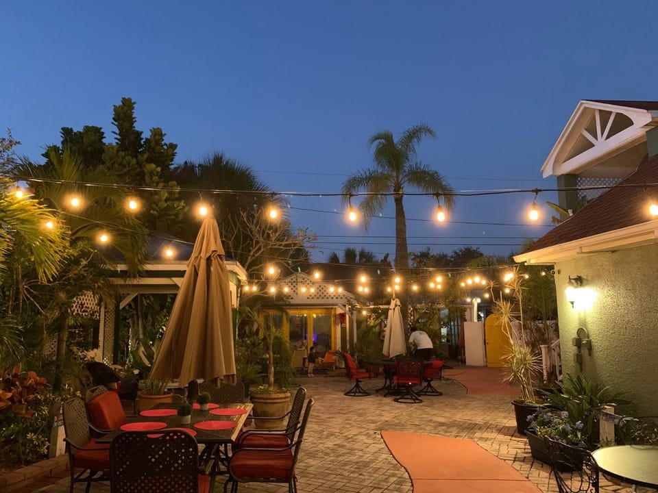 Property building, Night, Garden, Garden view