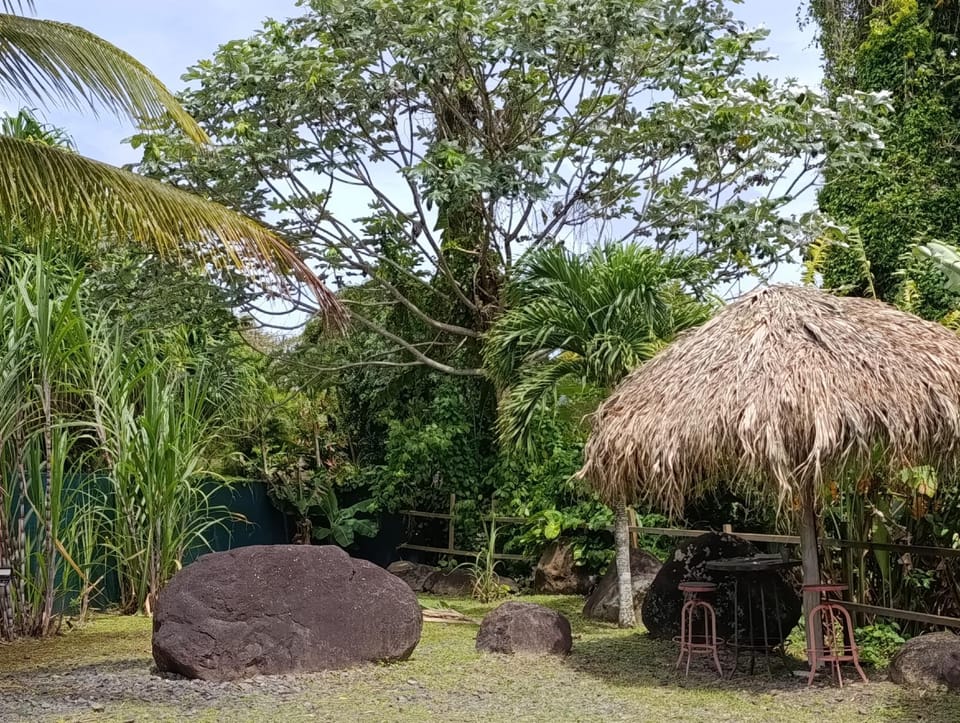 Day, Natural landscape, Garden, Garden view