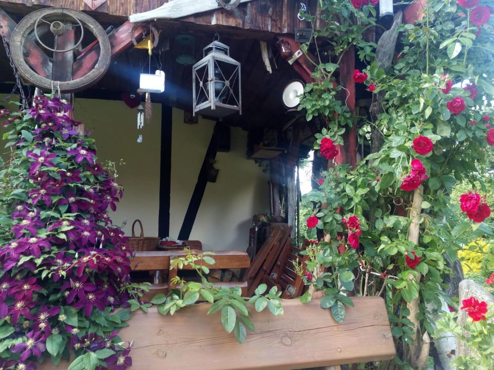 Agroturystyka Kalina Komorze Vacation rental in West Pomeranian Voivodeship, Poland