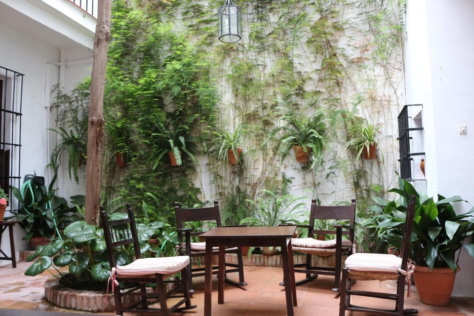 Patio, Garden