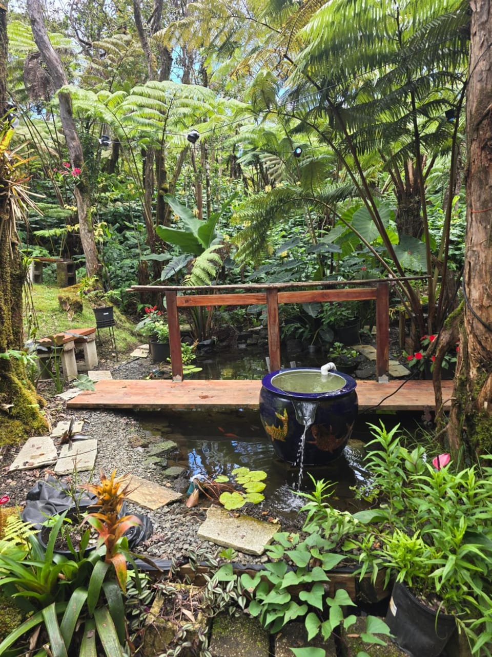 Hale Mauna Loa Upper Level with shared Hot Tub House in Volcano