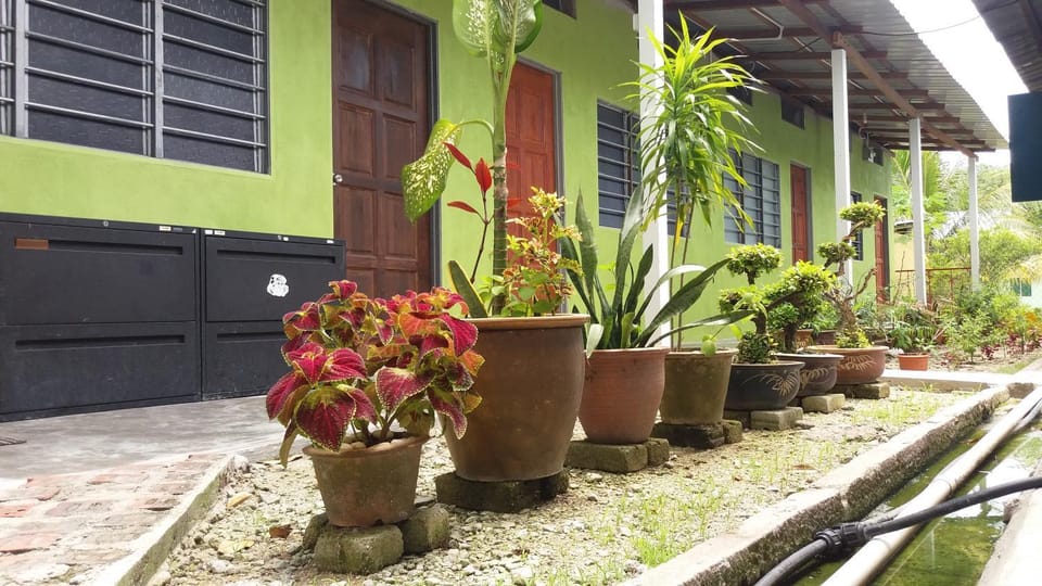 Property building, Garden, Garden view